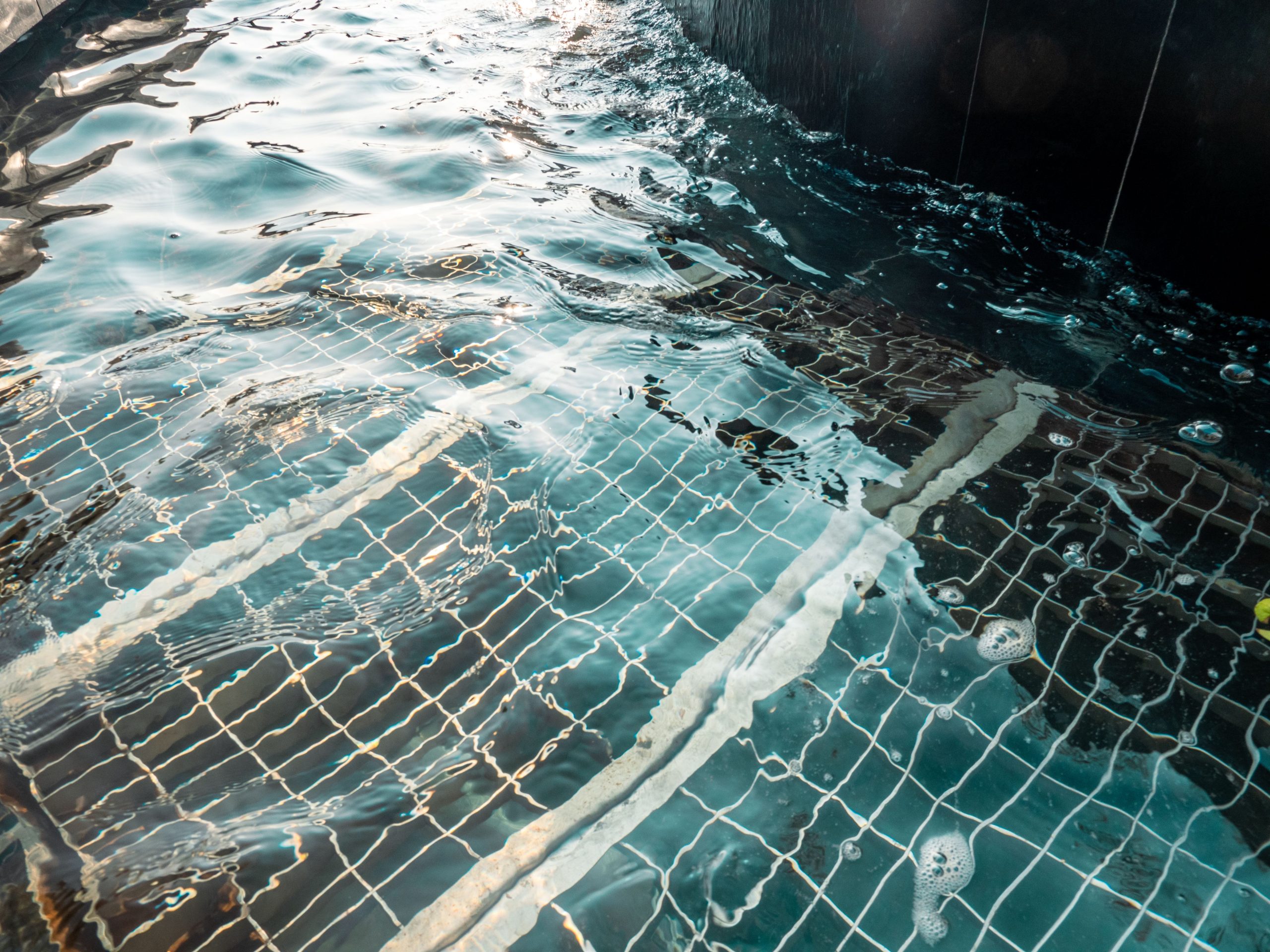 Surface claire piscine avec motifs carrelage