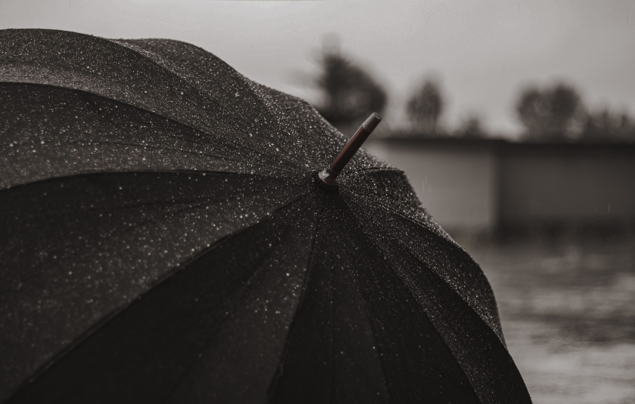Parapluie noir couvert gouttes pluie